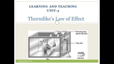 Thorndike Law Of Effect / Thorndike's Law of Effect - Trial and Error Learning - YouTube / The ...