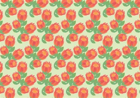 Protea Vector Art, Icons, and Graphics for Free Download