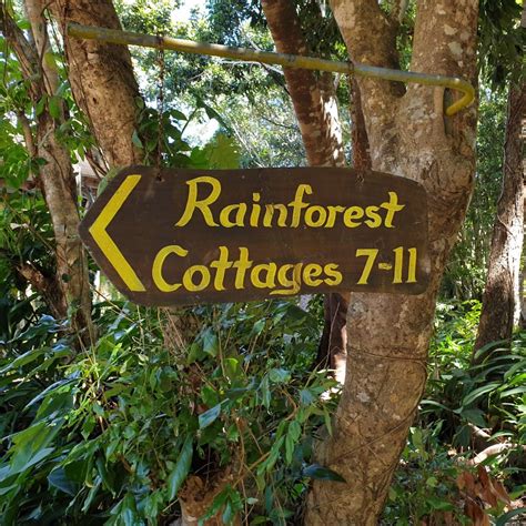 Kuranda Rainforest Accommodation Park - Kuranda