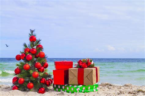 Popular South Florida Spot One Of The Best Places To Spend Christmas ...