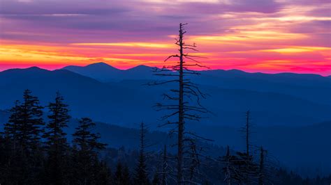 Clingmans Dome Sunrise | Joseph Rossbach Photography