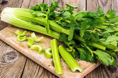 9 of the Best Celery Varieties to Grow at Home | Gardener’s Path