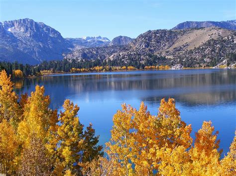 June Lake With Bright Fall Color Photograph by Cherie COKELEY