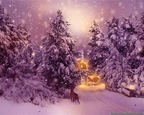 Winter Wonderland Wallpapers - Top Free Winter Wonderland Backgrounds - WallpaperAccess