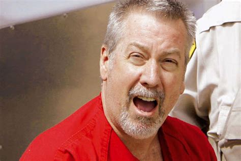 Illinois Supreme Court to hear Drew Peterson appeal - Chicago Sun-Times