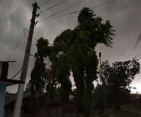 Bihar Weather: बिहार में मौसम का बिगड़ा मिजाज, आंधी-तूफान के साथ बारिश से किसान परेशान - Bihar ...