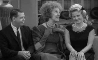 Bill Idelson: Best Known as Herman Glimscher on THE DICK VAN DYKE SHOW | The Scott Rollins Film ...