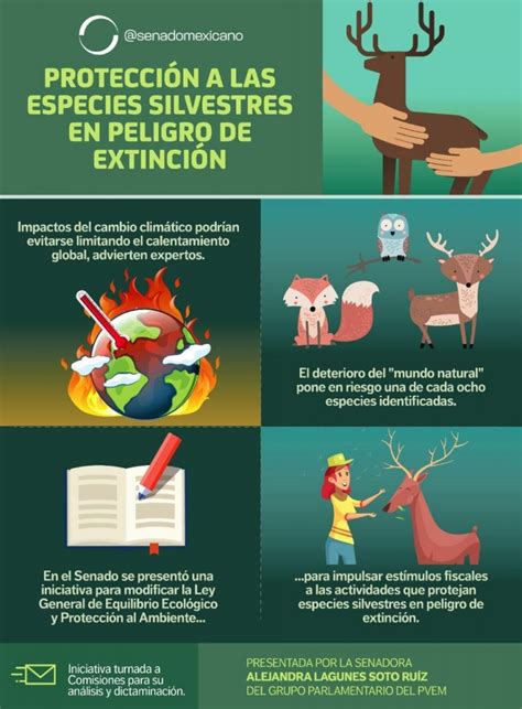 Protección a las especies silvestres en peligro de extinción - Revista Macroeconomia