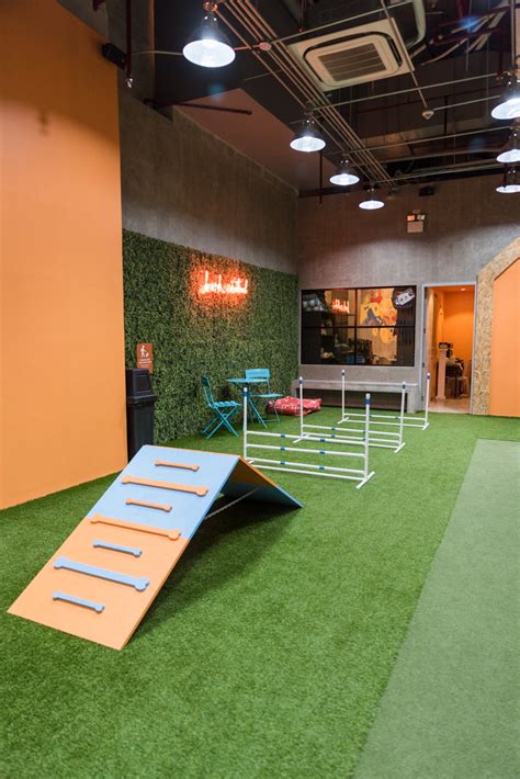 This indoor dog park is the perfect date for you and your dog - NOLISOLI