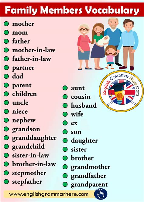 Family Members Vocabulary - English Grammar Here | English grammar, English vocabulary words ...