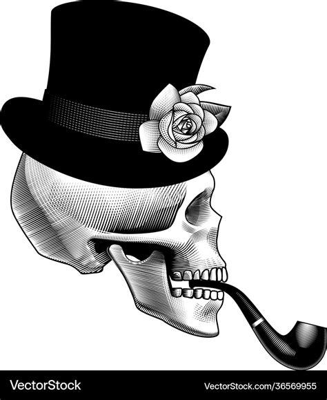 Human skull half face with smoking pipe and black Vector Image