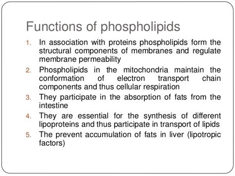 Phospholipids