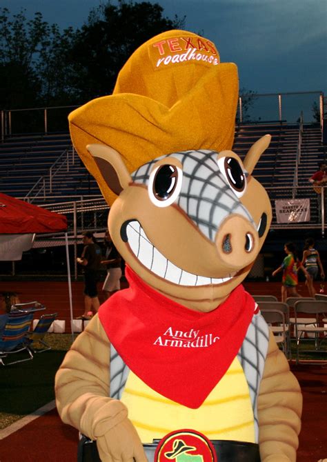 Andy Armadillo | Andrew Gardecki | Flickr