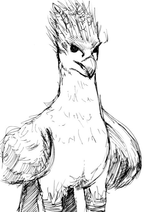 Harry Potter Buckbeak Coloring Pages / Harry Potter : I colored buckbeak from the harry potter ...