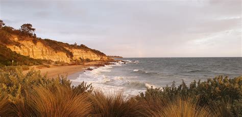 Cliffs glow at sunset, Half Moon Bay, Melbourne. : r/melbourne