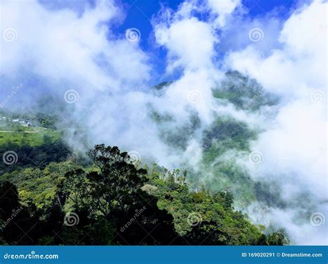 Doddabetta Peak - Highest Peak in Nilgiris Mountains Stock Image ...