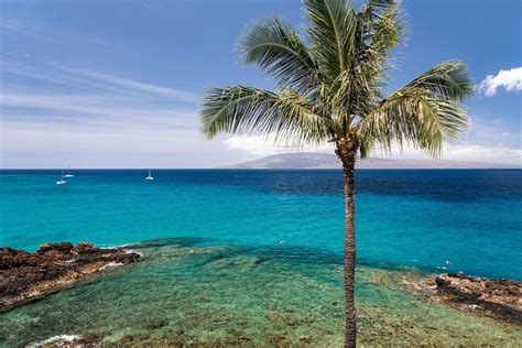 Sheraton Maui Resort & Spa Reviews, Deals & Photos 2023 - Expedia