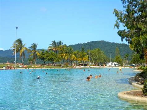 Swim here during Stinger season! - Airlie Beach Lagoon, Airlie Beach ...