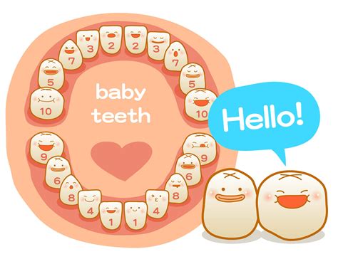 Baby Teeth Chart - Kids Oral Care | Colgate® IN