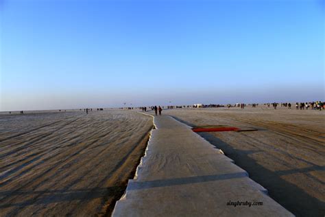 Rann Of Kutch : The White Salt Desert - Life and Its Experiments