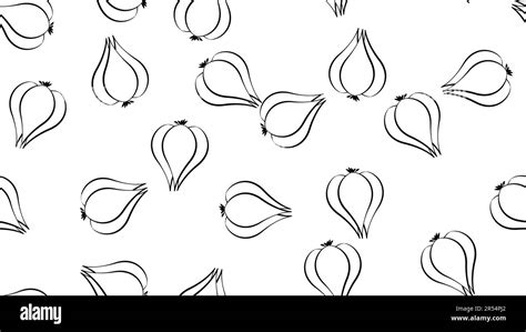 Garlic seamless pattern. Black white image. Simple print drawn by lines. Vector illustration of ...