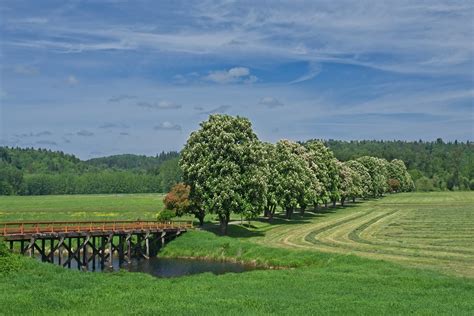 Carnation Farms 4963 A | Carnation Farm in King County, Wash… | Flickr