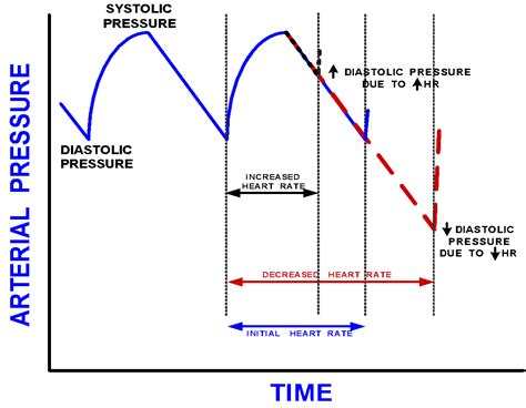 Tutor's Notes: general, cardiovascular, respiratory and renal physiology & pathophysiology ...