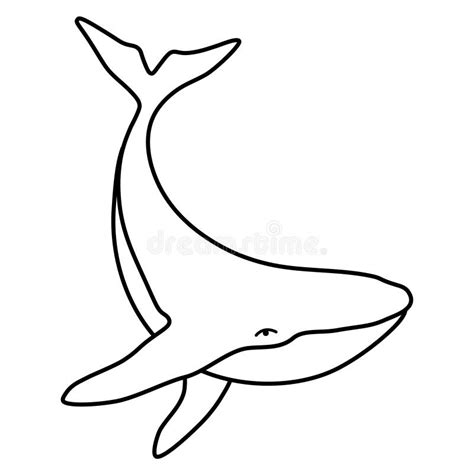 Humpback Whale Outline Stock Illustrations – 906 Humpback Whale Outline Stock Illustrations ...