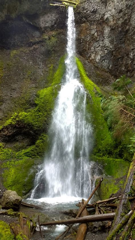 5 Best Olympic National Park Waterfalls - Ordinary Adventures