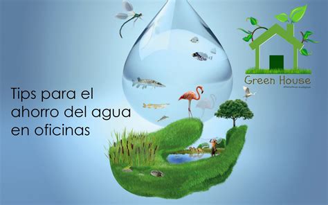 Ahorro Agua