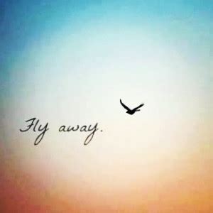 Quotes About Flying Away. QuotesGram