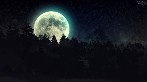 Forest moon, Dark forest, Night forest