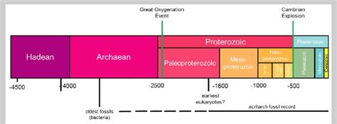 Timeline showing the extent of the acritarch fossil record (numbers... | Download Scientific Diagram