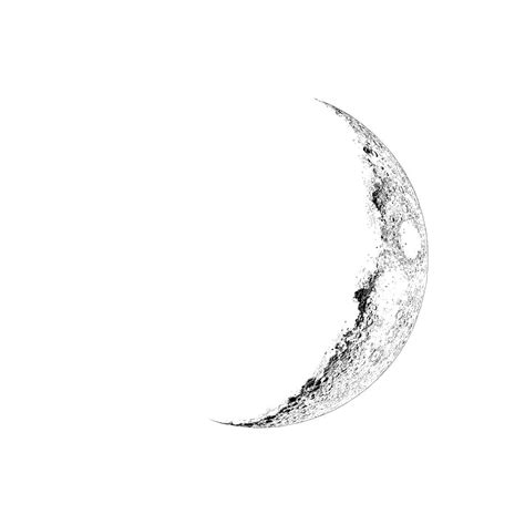 crescent-moon | Half moon tattoo, Crescent moon tattoo, Moon tattoo designs