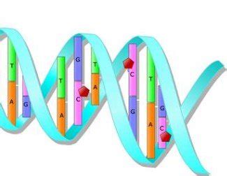 Epigenetics Inheritance Examples - [get Experts Advice]