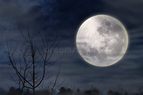 Scary night with full moon stock photo. Image of light - 26657454