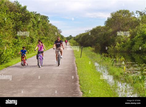 Miami Florida,Everglades National Park,Shark Valley,Tram Tour Trail ...