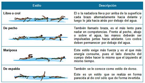 mi articulo: estilos de natación