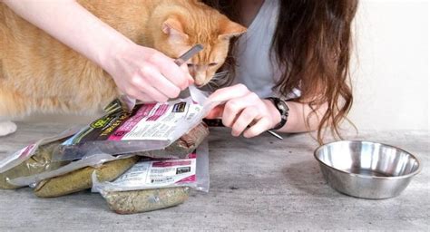 5 Best Fresh Cat Food Meal Delivery Services 2024 - Cats.com