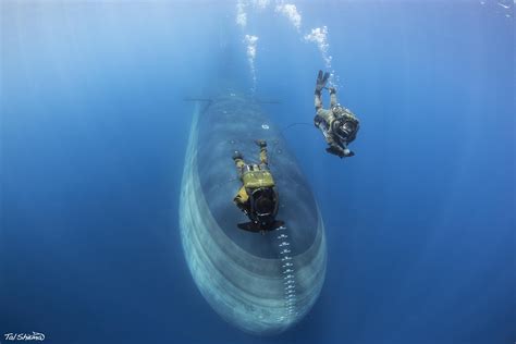 Israeli Navy's SpecOps training with Dolphin 2 (AIP) class SSK. Photo ...