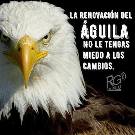 Pin by Gero Campos on Frases | Life quotes, Eagle wallpaper, Quotes