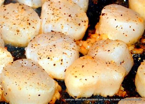 Patagonian Scallops Recipe, Scallop Recipes, Seafood Dinner, Pan Seared ...