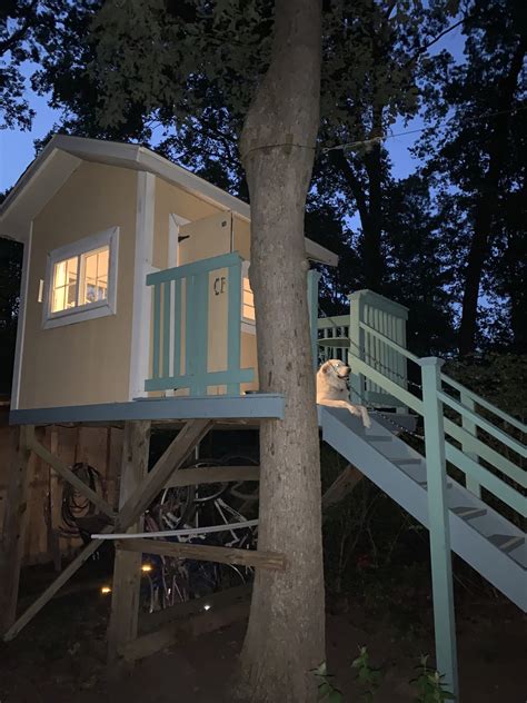 Haycock Elementary Teacher Turns Old Treehouse Into Classroom - Falls ...