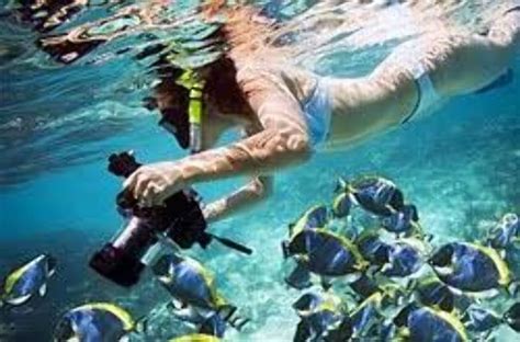 Snorkeling at Sanur, bali, Indonesia - Top Attractions, Things to Do ...