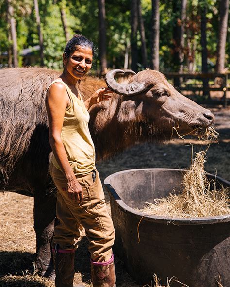 Backyard Buffalo Farm - Edible Communities