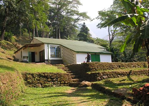 Lujeri Tea Estate | Hotels in Thyolo Region | Audley Travel