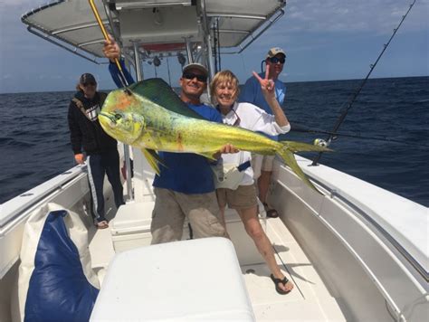 Stuart Fl. Charter fishing: Spring Dolphin Fishing Charters Stuart Fl