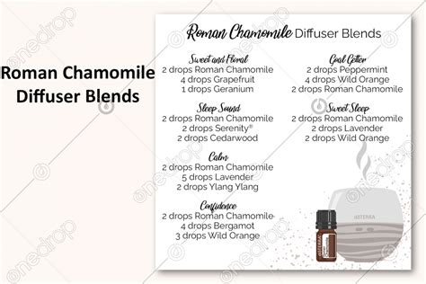 Roman Chamomile Diffuser Blends Illustrated Diffuser + Oil by Amber Clemons