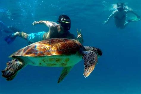 Rent a Snorkelset & Go snorkeling at Blue Bay, Curacao - Blue Bay Dive & Watersports