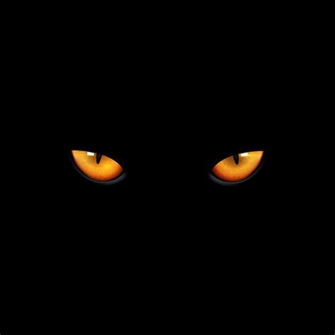 Download Cat eyes on black background for free | Black cat images ...